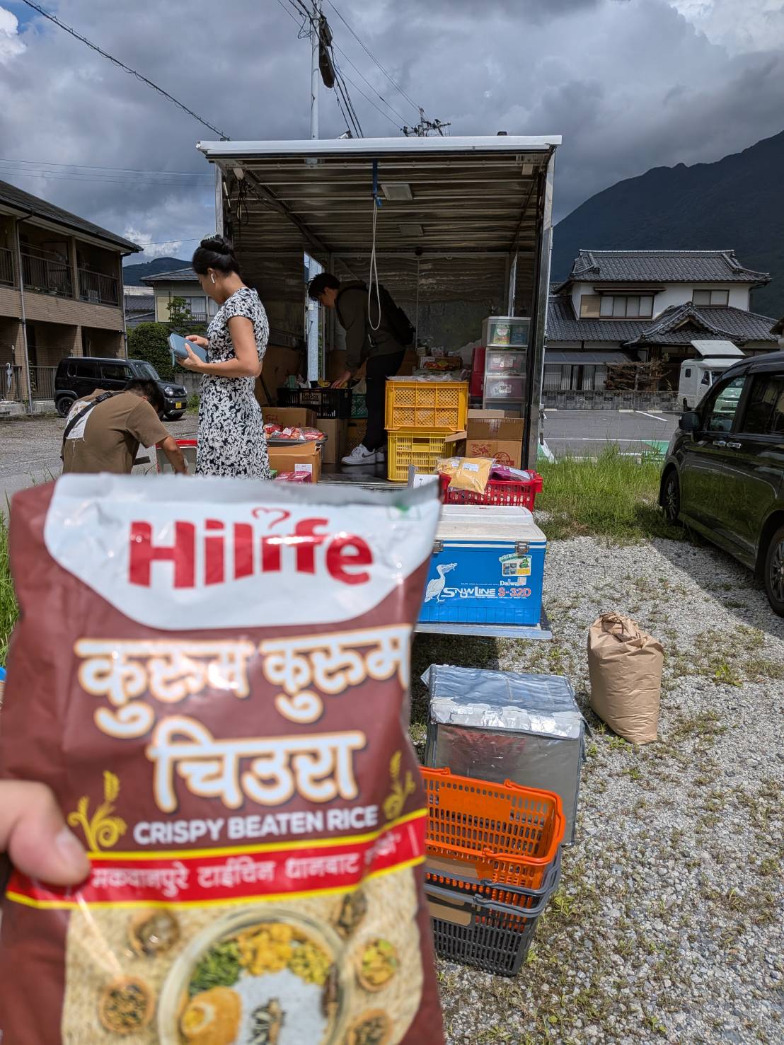 アジア野菜（空心菜）を栽培する農場で管理する人物の様子