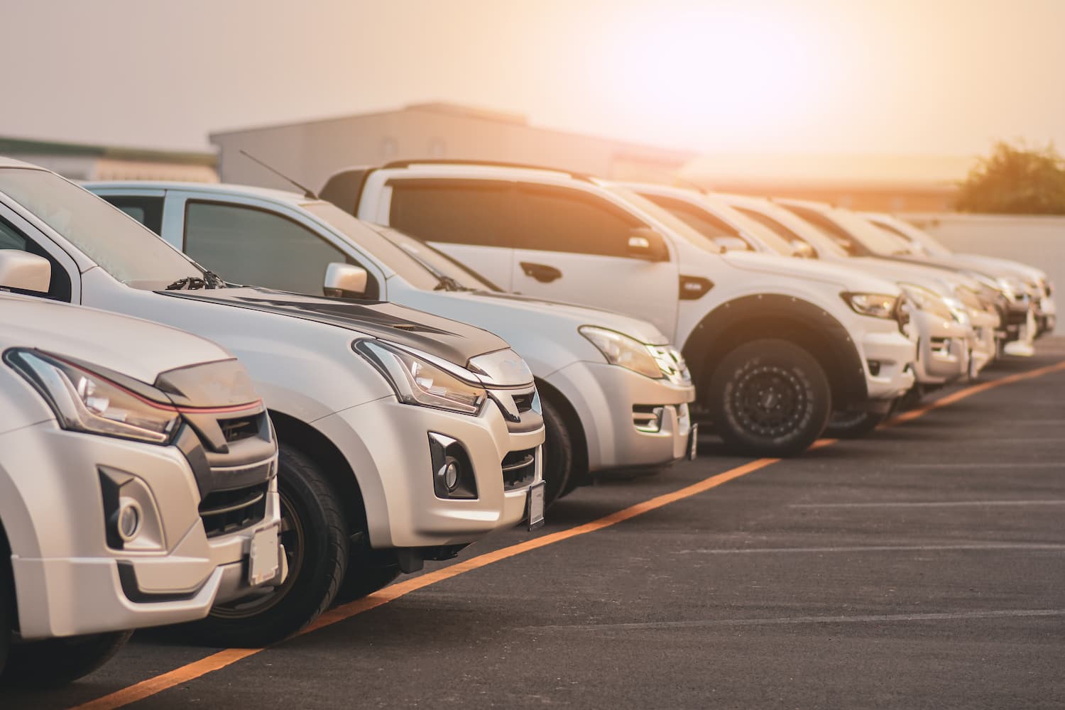夕暮れ時の中古車販売店の駐車場に並ぶ車両の様子